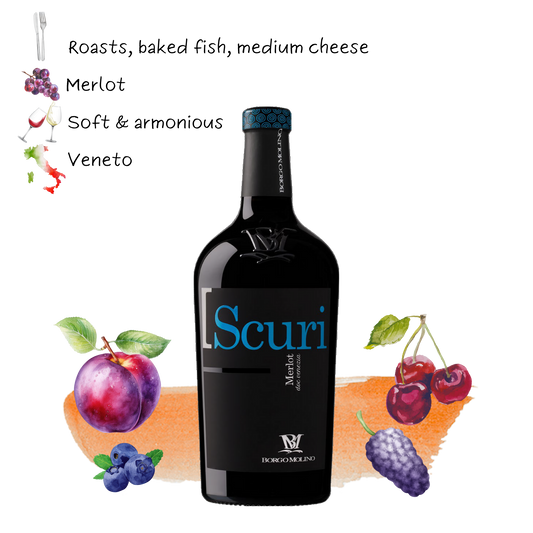 2021 Borgo Molino SCURI Merlot D.O.C. Venezia