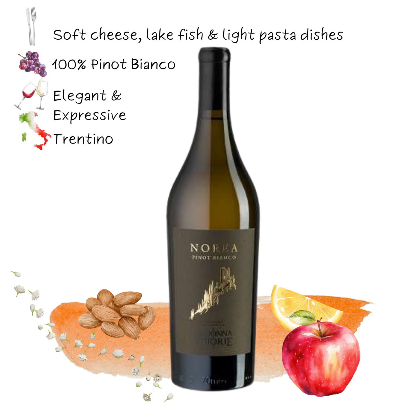 2023 Madonna delle Vittorie NOREA Pinot Bianco
