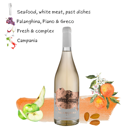 2023 Piantaferro Falanghina I.G.T del Beneventano