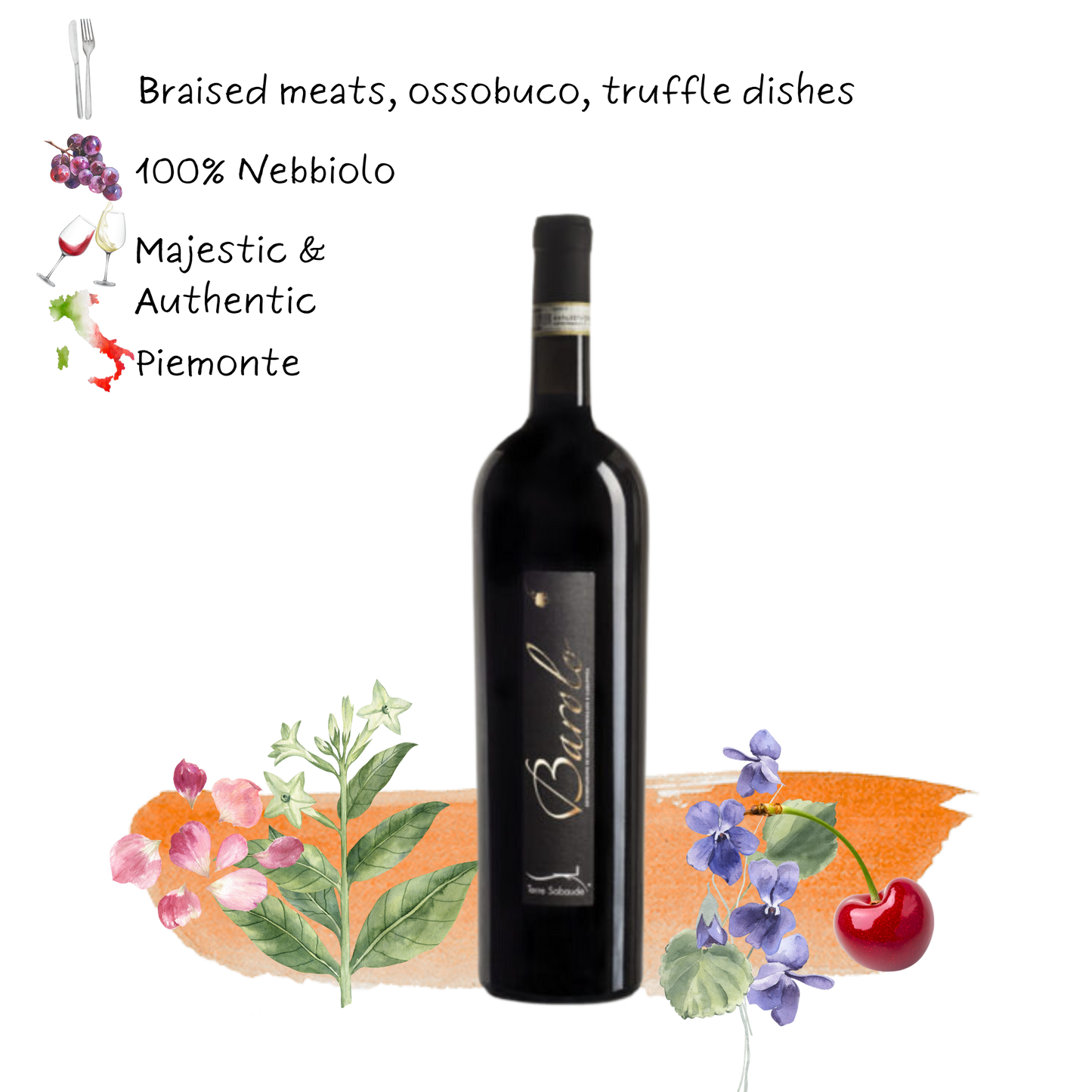 2019 Terre Sabaude Barolo D.O.C.G.