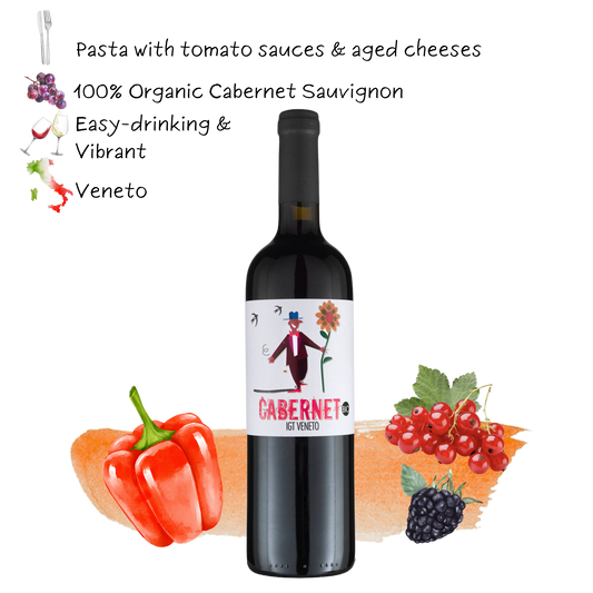 2023 Trevisana Cabernet I.G.T. Veneto Organic