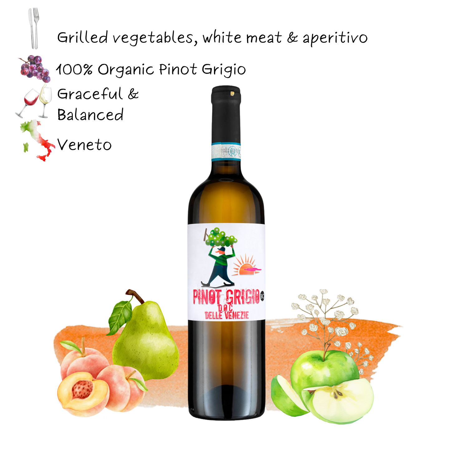 2024 Trevisana Pinot Grigio delle Venezie D.O.C. Organic