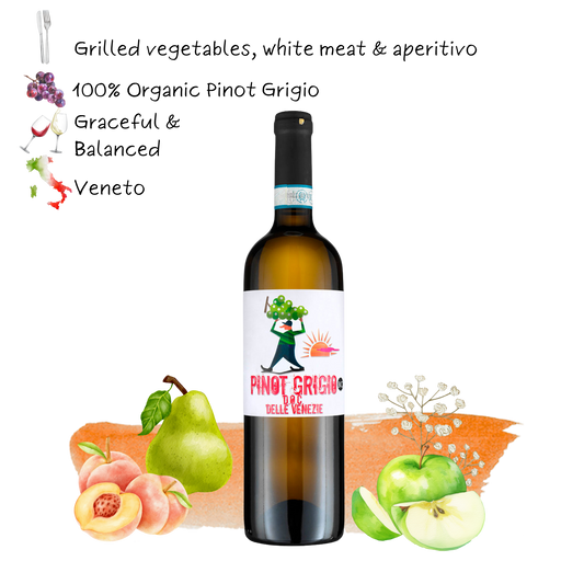 2024 Trevisana Pinot Grigio delle Venezie D.O.C. Organic
