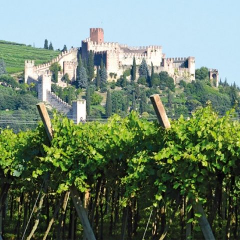 Photo of Castello di Soave by Italian Wine Connection