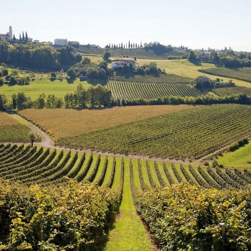 Italian Wine Connection Valdobbiadene Hills Veneto Region