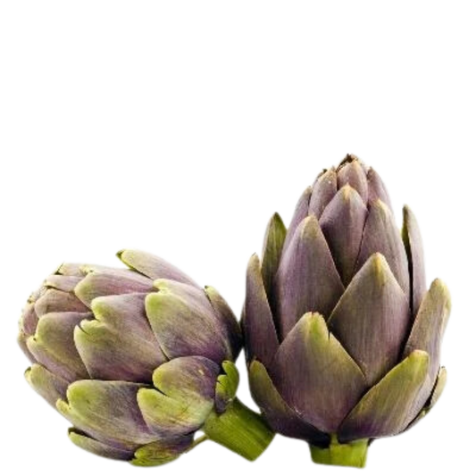 Artichoke - Cynara cardunculus - Carciofo Violetto di Provenza Seeds